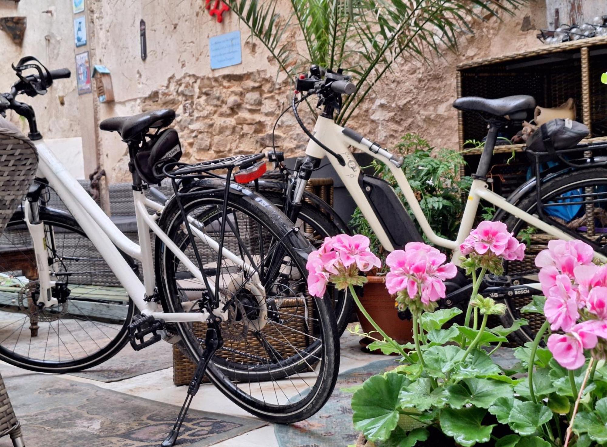 Maison Du Coquelicot Tourouzelle Εξωτερικό φωτογραφία